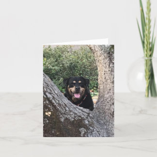 Mooie rottweiler foto bedankkaart