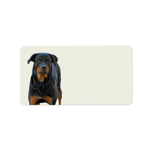 Mooie rottweiler-labels etiket (Voorkant)