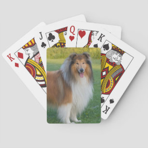Mooie Rough Collie Dog Pokerkaarten