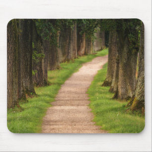 Mooie route door de bomen muismat