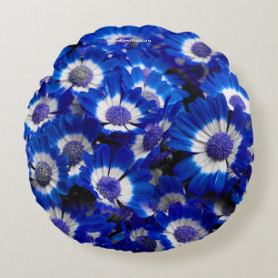 Mooie Royal Blue Cineraria Flowers Rond Kussen