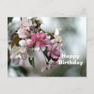 Mooie Roze Appel Bloemen Foto Verjaardag Briefkaart