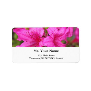 mooie roze azalea bloemen etiket