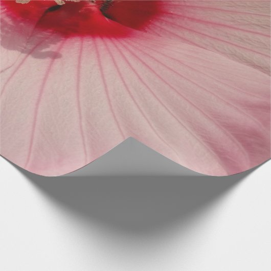 Mooie roze bloem close-up foto inpakpapier (Hoek)