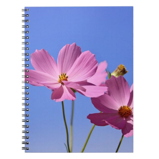 mooie roze bloemen die een heldere blauwe hemel om notitieboek (Voorkant)