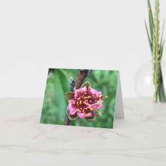 Mooie roze bloesem op perzikboom bedankkaart
