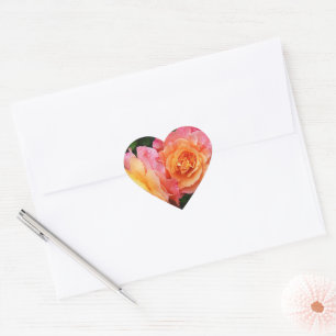 Mooie roze en oranje roos foto hart sticker