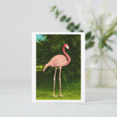 Mooie roze flamingo briefkaart (Staand voorkant)