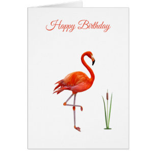 Mooie Roze Flamingo Verjaardagskaart
