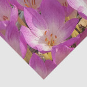 Mooie roze herfst krokussen Bloemen Tissuepapier (Detail)