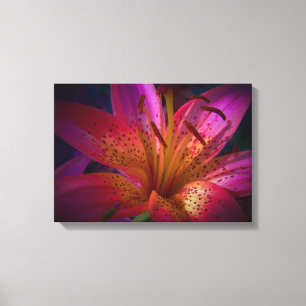 Mooie Roze Lily Canvas Afdruk
