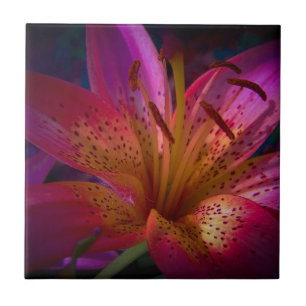 Mooie Roze Lily Tegeltje