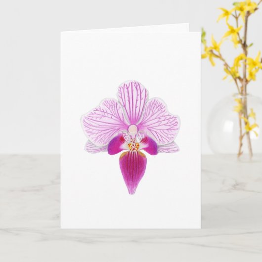 Mooie roze orchidee kaart (Gele Bloem)