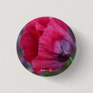Mooie roze & Paarse klaproos Ronde Button 3,2 Cm