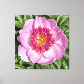 Mooie roze pioen op canvas. canvas afdruk (Voorkant)