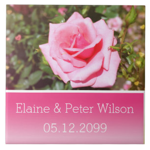 Mooie roze roos bloem bruiloft jubileum tegeltje