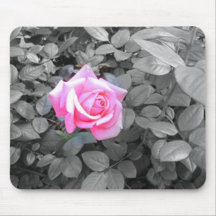 Mooie Roze Roos Zwart Wit Muismat