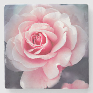 Mooie roze Rose Floral foto Stenen Onderzetter