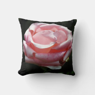 Mooie roze roze close-up kussen