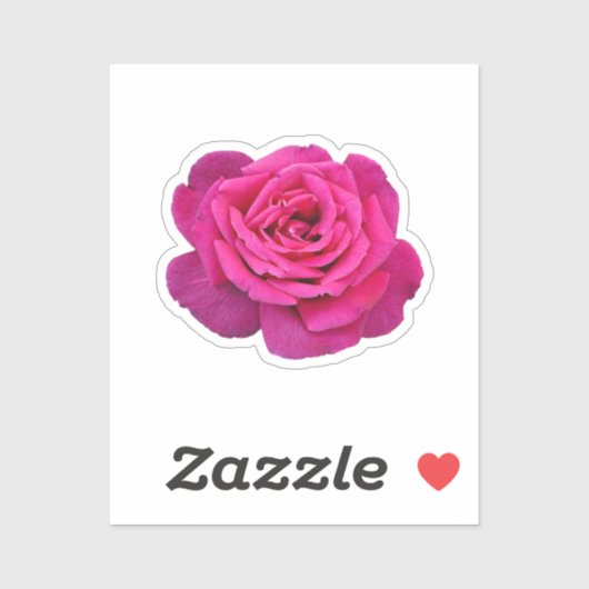 Mooie roze roze roos sticker (Vel)