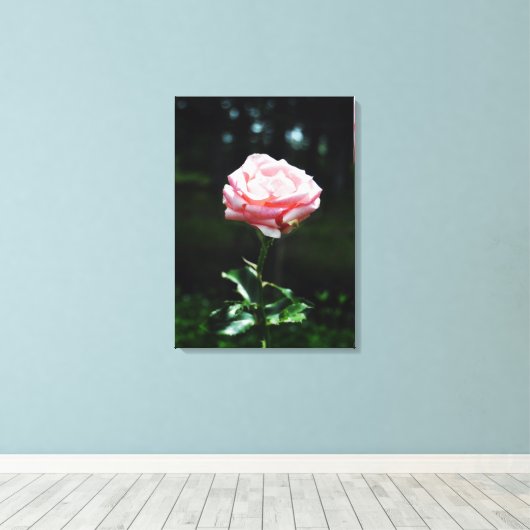 Mooie Roze Roze Roze Canvas Afdruk (Insitu (Houten vloer))