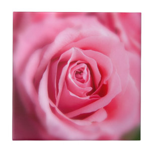Mooie Roze Roze Roze Tegeltje