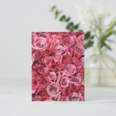 Mooie roze rozen briefkaart (Staand voorkant)