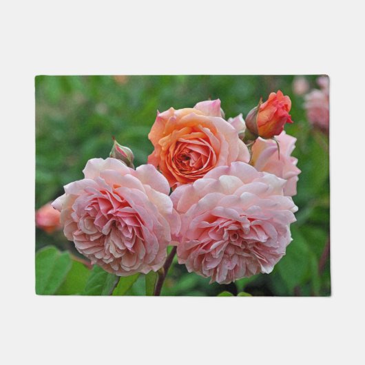 Mooie roze rozen deurmat (Voorkant)