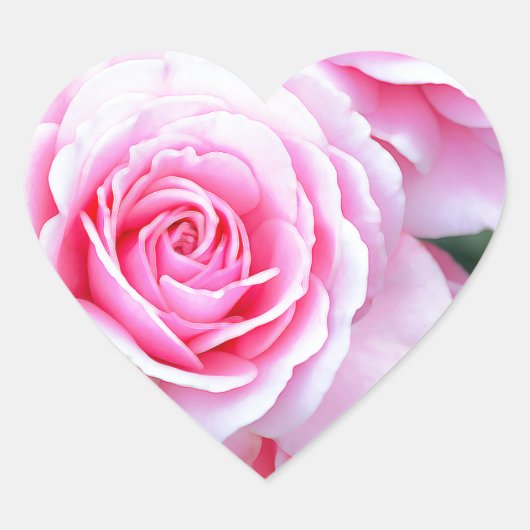 Mooie roze rozen hart sticker (Voorkant)