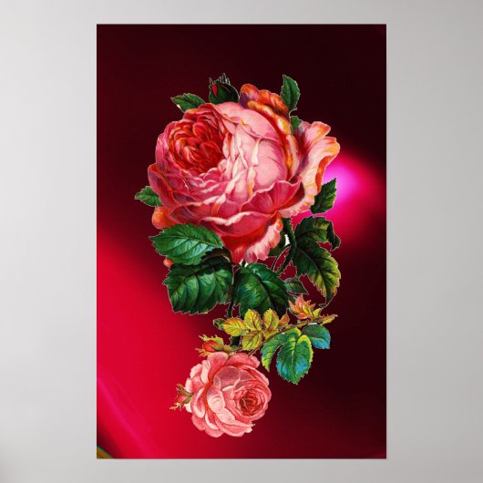MOOIE ROZE ROZEN POSTER (Voorkant)