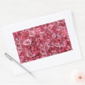 Mooie roze rozen rechthoekige sticker (Envelop)