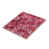 Mooie roze rozen tegeltje (Zijkant)