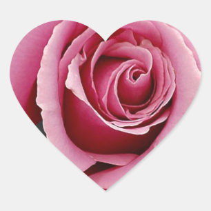 Mooie roze rozenblaadjes print hart sticker