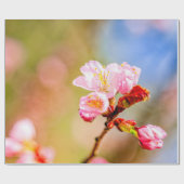 Mooie roze Sakura-bloemen op zonnige dag Cadeaupapier (Vlak)