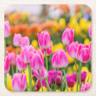 Mooie roze tulpen vierkante kartonnen onderzetter