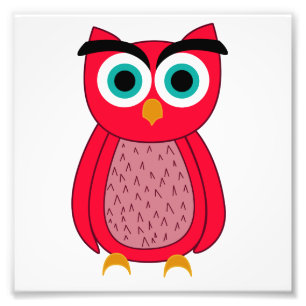 Mooie Roze Uil Illustratie Foto Afdruk
