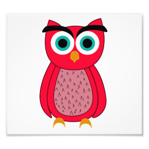 Mooie Roze Uil Illustratie Foto Afdruk
