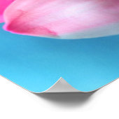 Mooie roze ventilator Sluiten Foto Poster (Hoek)