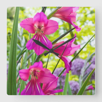 Mooie roze ventilator vierkante klok