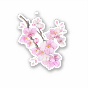 Mooie roze waterverf kersenSakura bloesems Sticker