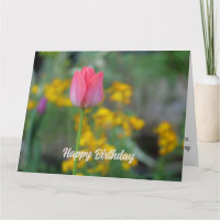 Mooie roze winter tulp bloemen