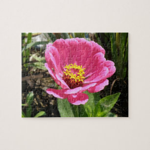 Mooie Roze Zinnia Puzzel