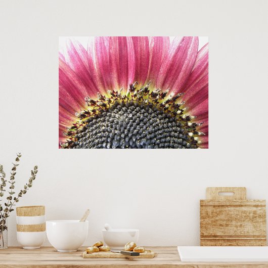 Mooie roze zonnebloem afdrukken poster (Keuken)