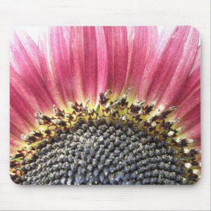 Mooie roze zonnebloem Mousepad Muismat