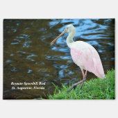 Mooie Rozeate Spoonbill Magneet (Voorkant)