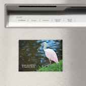 Mooie Rozeate Spoonbill Magneet (Insitu (Vaatwasser))