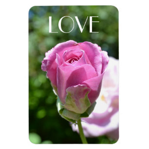 Mooie Rozen Bud Love Magnet Magneet