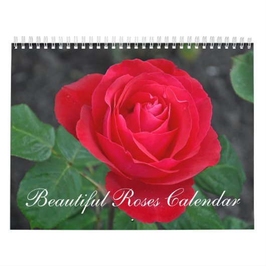 Mooie rozen kalender (Hoes)