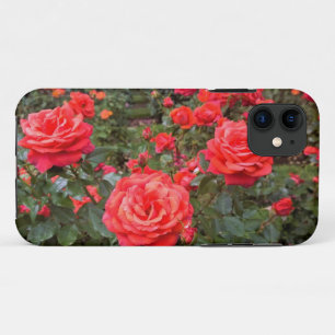 Mooie Rozen, Portland, Oregon iPhone 11 Hoesje