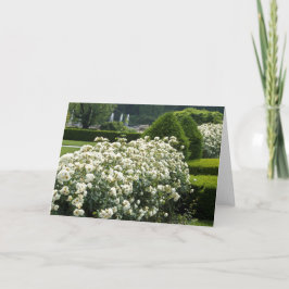 Mooie Rozen Tuin Bloemen Foto Custom Kaart